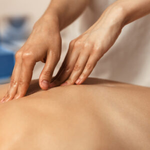 Tecniche del Massaggio Base